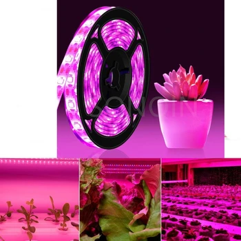 5M 12 В Светодиодный светильник для выращивания растений Полоса полного спектра 5050 Светодиодные фитолампы для внутренней гидропонной лампы для выращивания растений