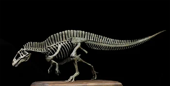 VWUVWU 1/20 Акрокантозавр Скелет Модель Динозавр Коллекция Животное Статуя Украшение Подарок На День Рождения Для Взрослого Реалистичная Игрушка