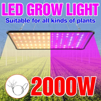  светодиодный свет для выращивания растений полный спектр квантовая доска фитолампа для гидропоники в помещении для гидропоники теплица палатка для выращивания коробки для выращивания цветов лампа для выращивания цветов